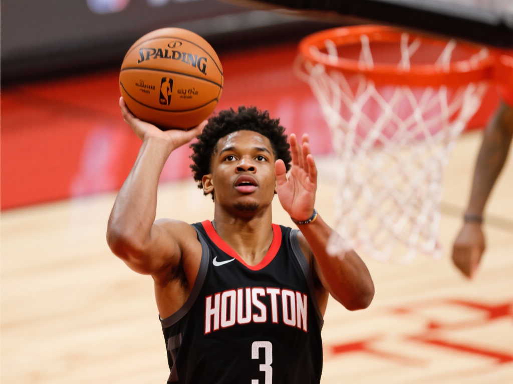 了极佳的参 了极佳的参